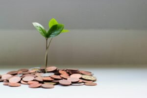 Green plant growing from a stack of coins symbolizing growing net worth